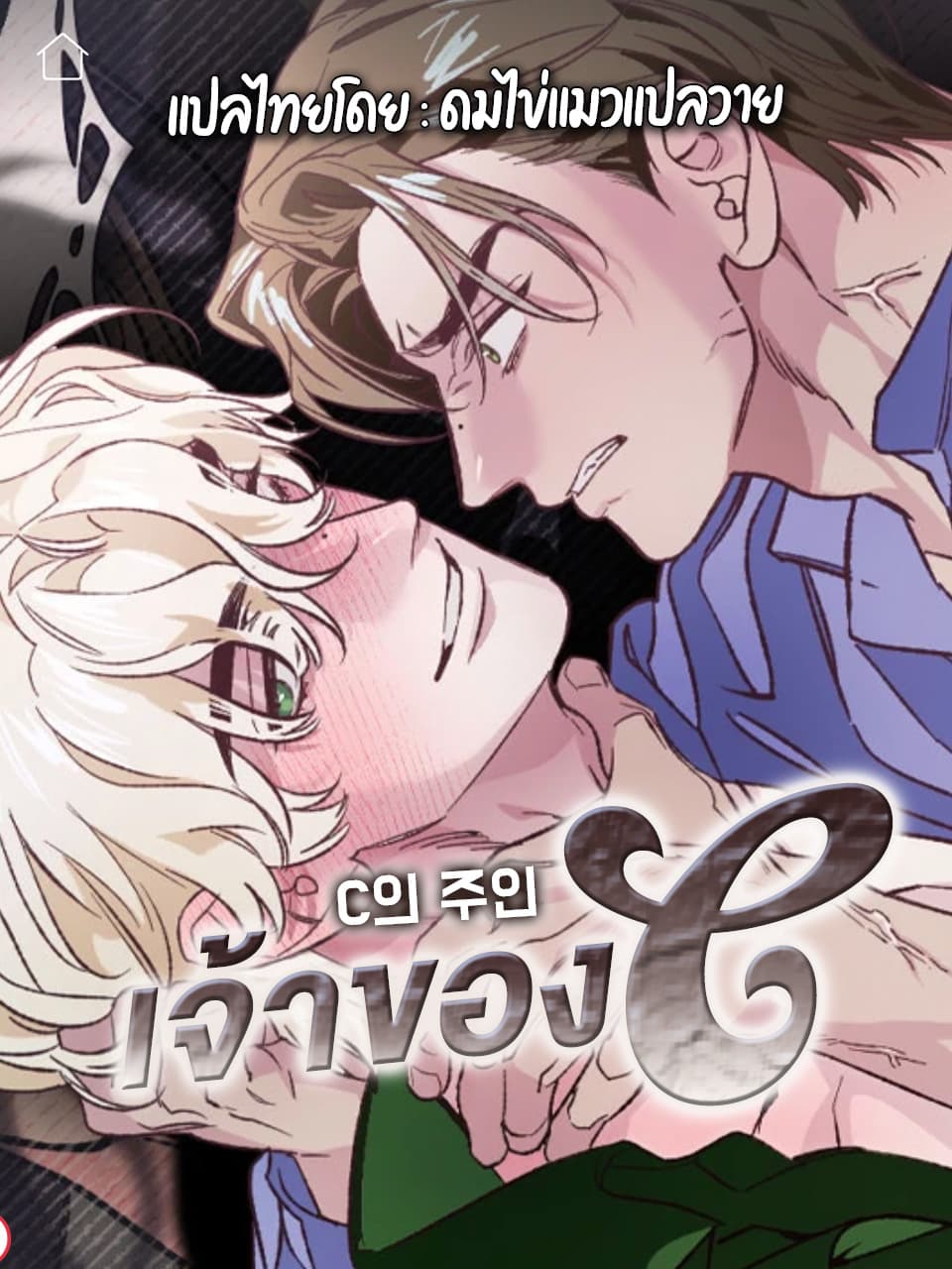 เจ้าของ C | C의 주인