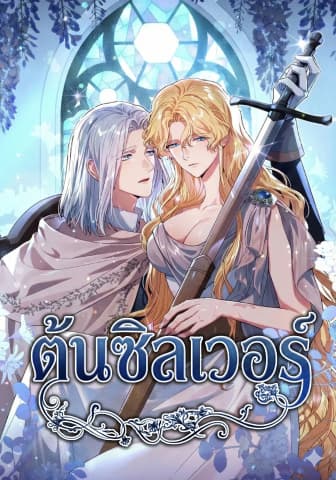 ต้นซิลเวอร์ , Silver Tree