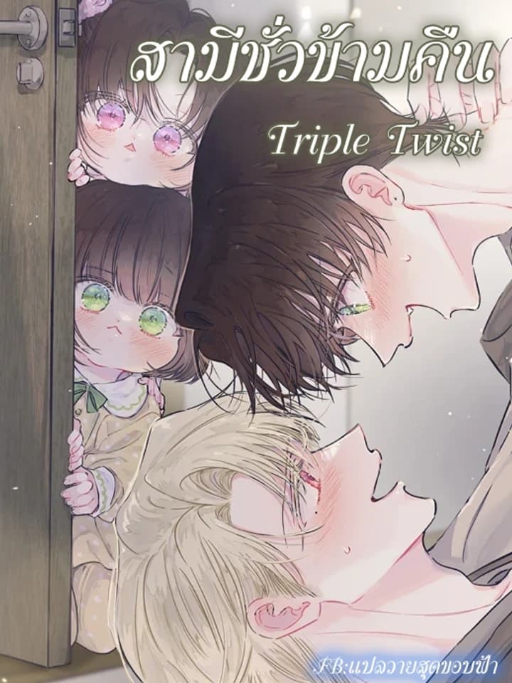 Triple Twist สามีเพียงข้ามคืน 반전의 반전의 반전